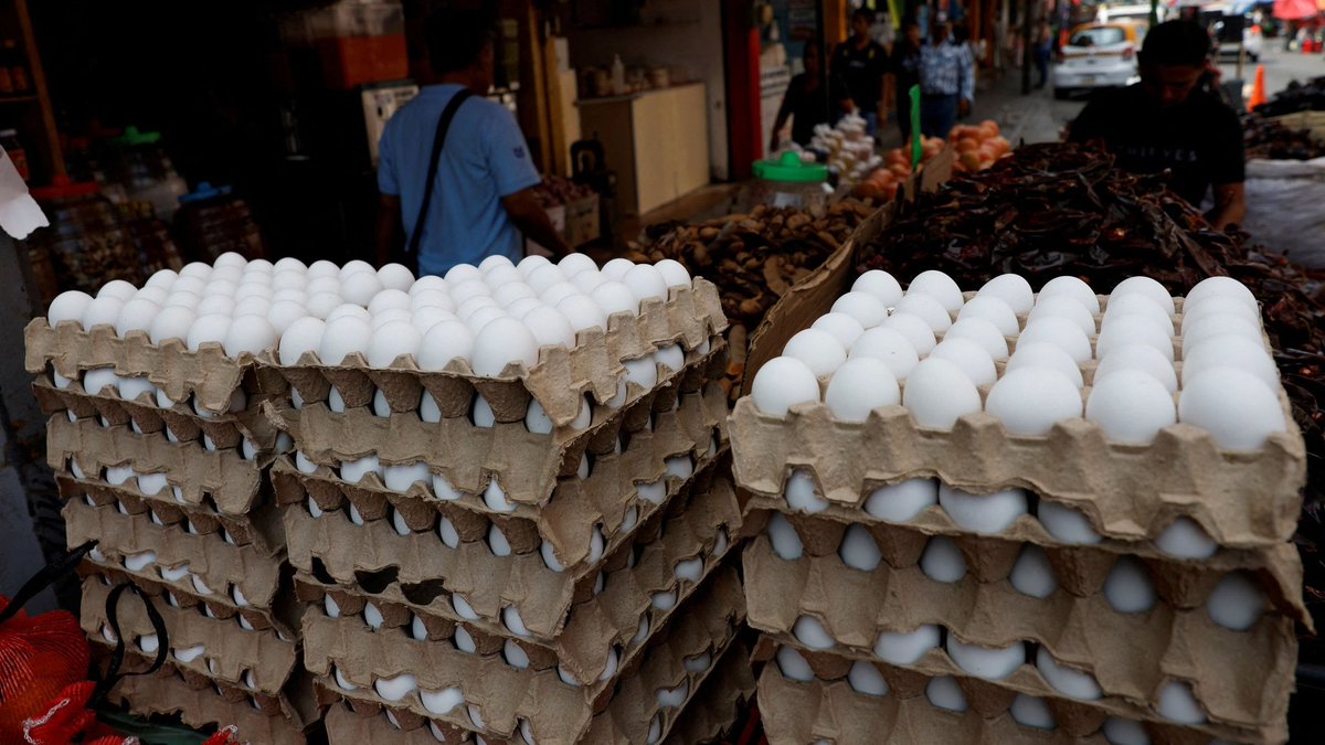 What are the Best Protein sources for Fat loss &amp; improving Metabolic health?

🟢 Prawns - 4.1  
🟢 Whey Isolate - 4.2 
🟢 Tuna - 4.6
🟢 Aquatein Protein Water - 4.8 
🟢 Tilapia - 4.8
🟢 Katla Fish - 5  
🟢 Pea Protein - 5  
🟢 Tofu - 5  
🟢 Epigamia Turbo Greek Yoghurt - 5.3  
🟢