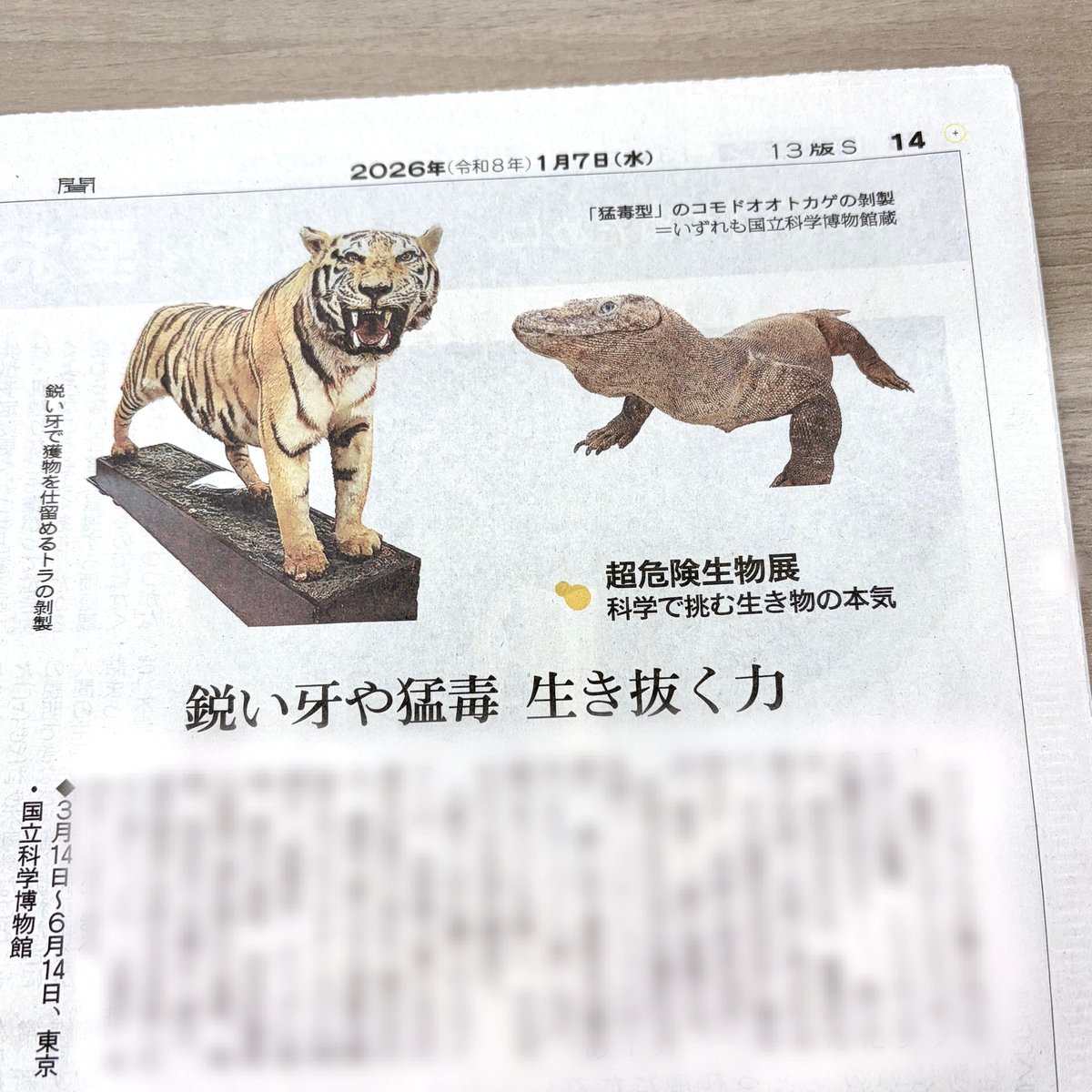 ◤掲載情報◢ 今日(1月7日)の朝日新聞朝刊の 「Arts&Culture 2026