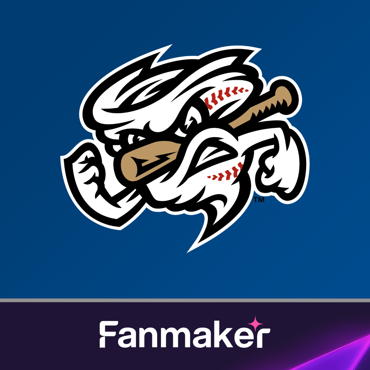 Fanmaker tweet media