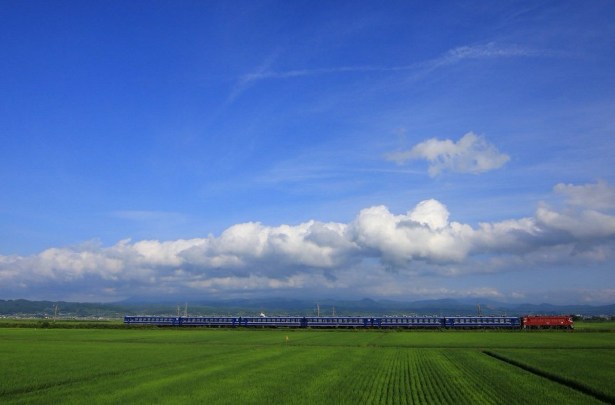 Yuji Okauchi 1/25 関西コミティアE-01 (@_okka3785) / Posts / X