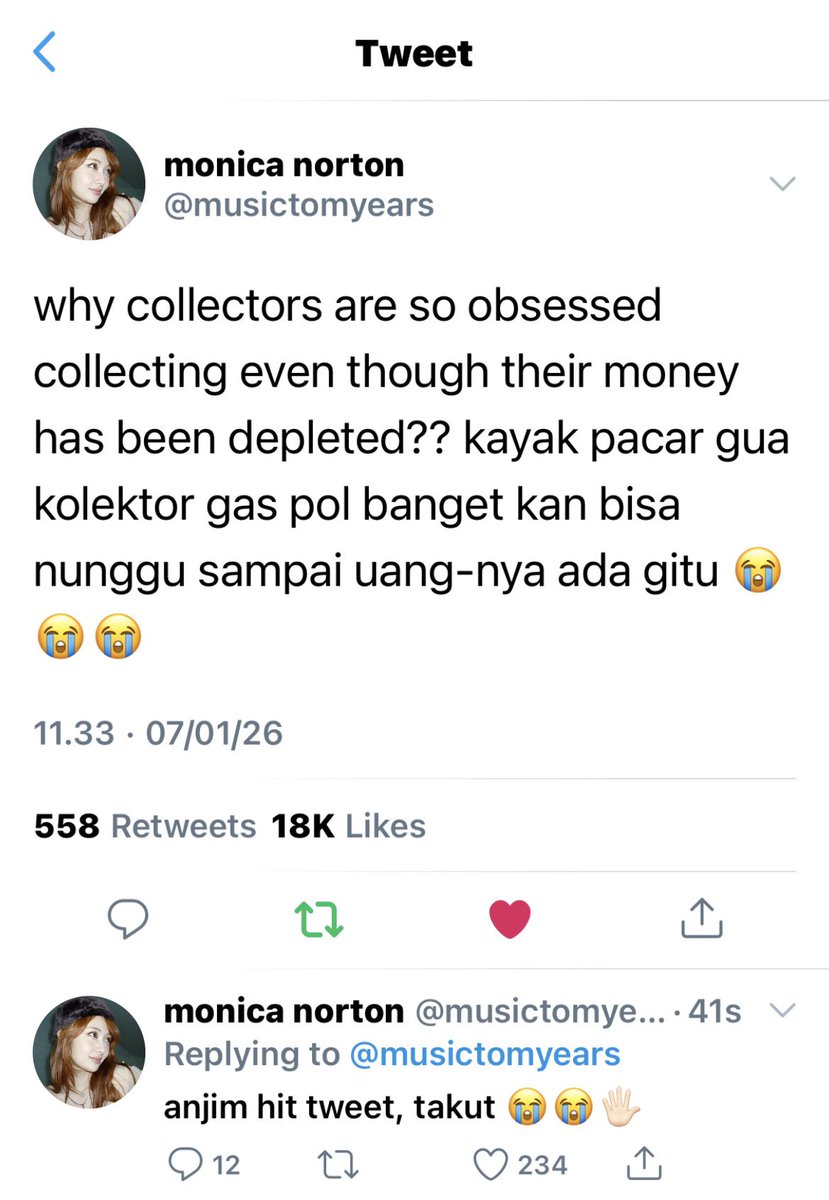 fleurciels's tweet image. namanya juga kolektor wkwk 
#silverissante one tweet