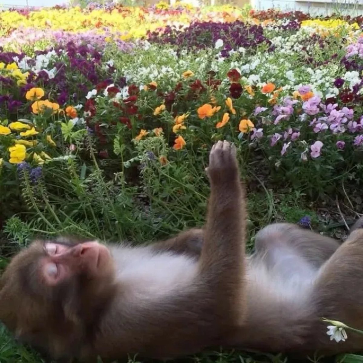 Binance Intern tweet media