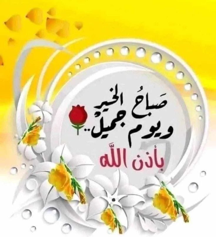 aasa235's tweet photo. @fayez_malki https://t.co/FqrSwg3qn8