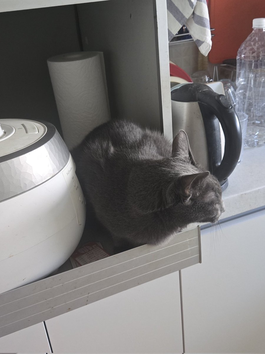 旭潮 (@layrical) on Twitter photo 