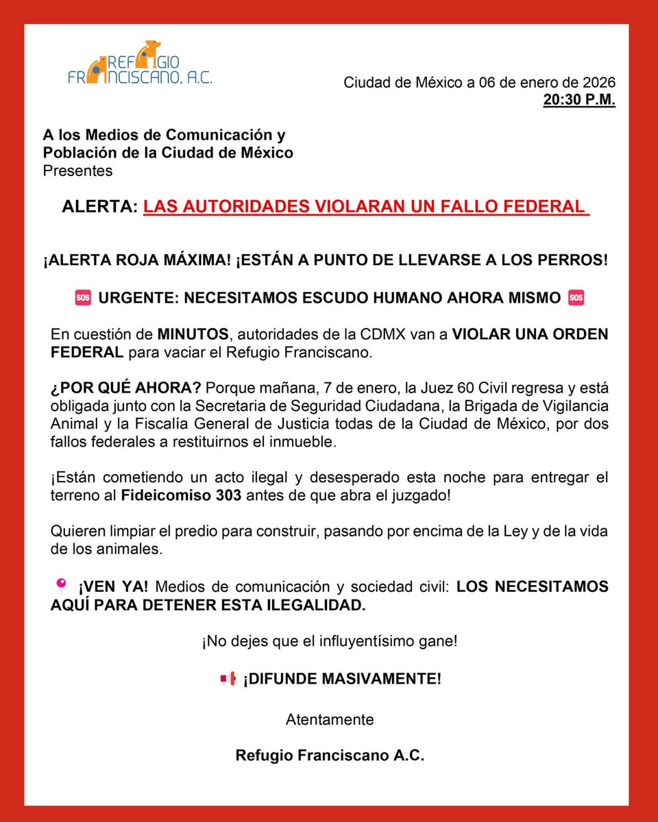 Frecda's tweet image. Atención @ImagenTVMex @AztecaNoticias @heraldodemexico @Excelsior @telediario @MrElDiablo8  @AristeguiOnline @MVSNoticias @adnnoticiasmx  autoridades de @GobCDMX @FiscaliaCDMX pretenden desalojar a perros del refugio Franciscano para no entregar el predio el día jueves.