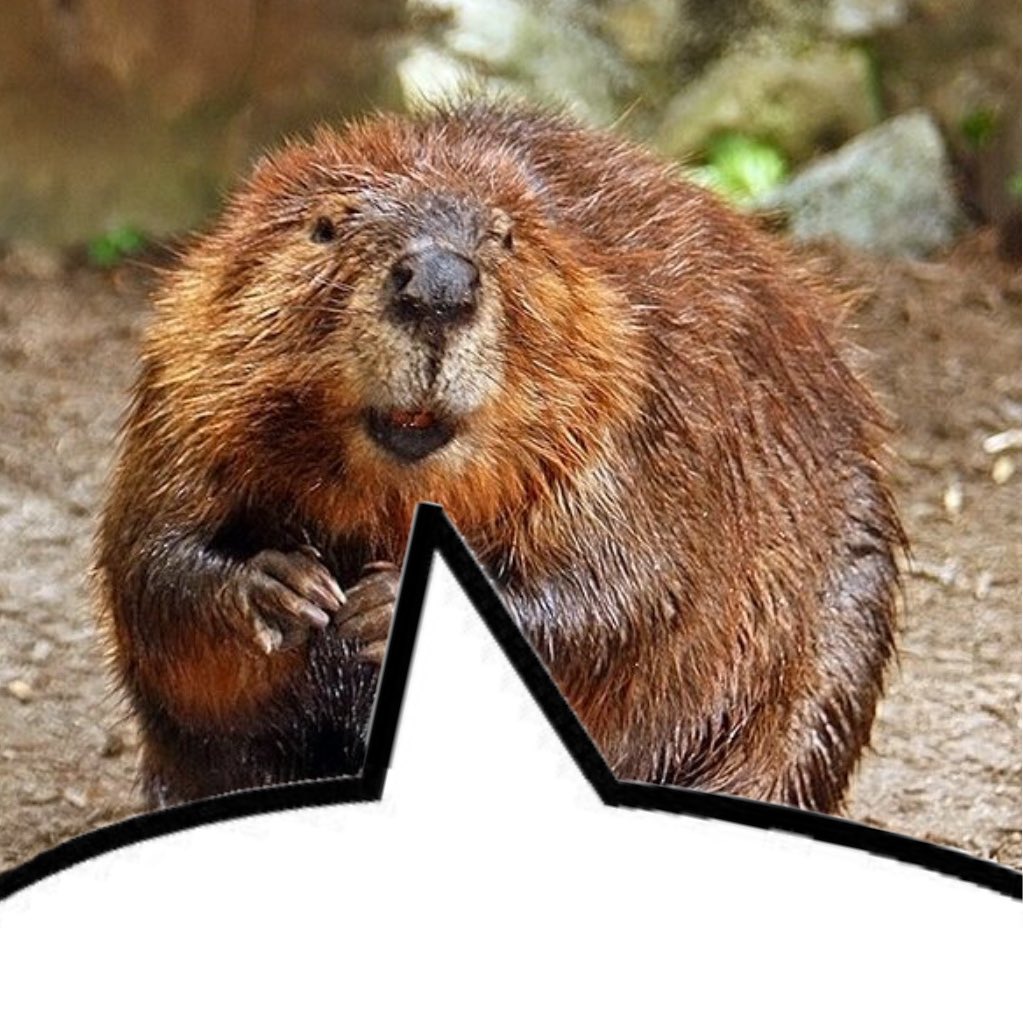 Sarah✨ (@accioniffler) on Twitter photo 