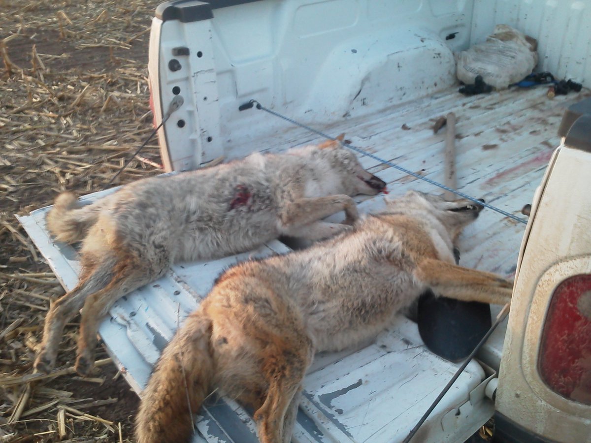 Ben Dorman tweet media