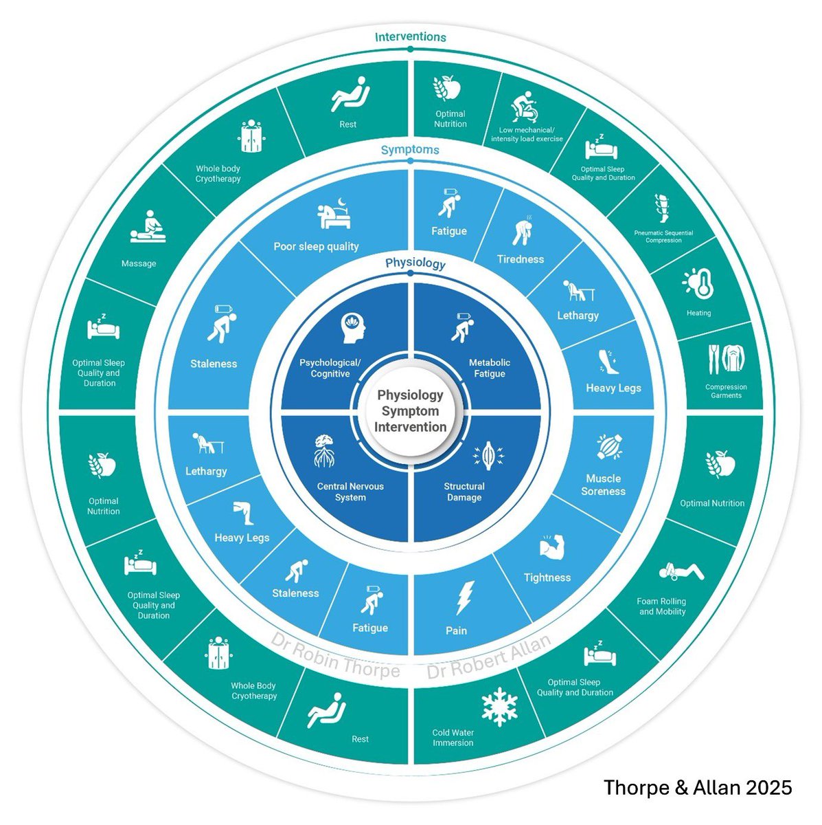 Robin Thorpe tweet media