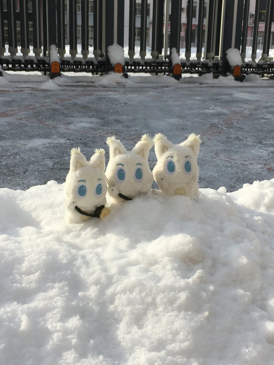 junee_S2's tweet image. 와글와글 절미들이 런쥔이 초등학교에 놀러왔대요..🎶❄️
눈 오는 길림은 더 아름답고나....🥹