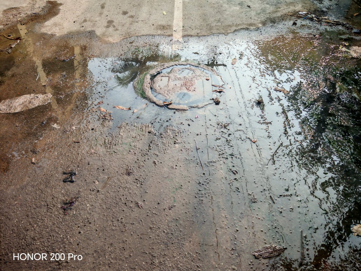 madhan_mba1510's tweet photo. The below pic is near our house at Ramanathan Chetty Street, SS Colony #Madurai. WARD No. 61 central zone. Living here with kids and elders is hazardous. Kindly take action immediately. @CMOTamilnadu @Udhaystalin @SuVe4Madurai @ptrmadurai @TNR4madurai @mducollector @Dinamalar https://t.co/sfo0NtVXrB
