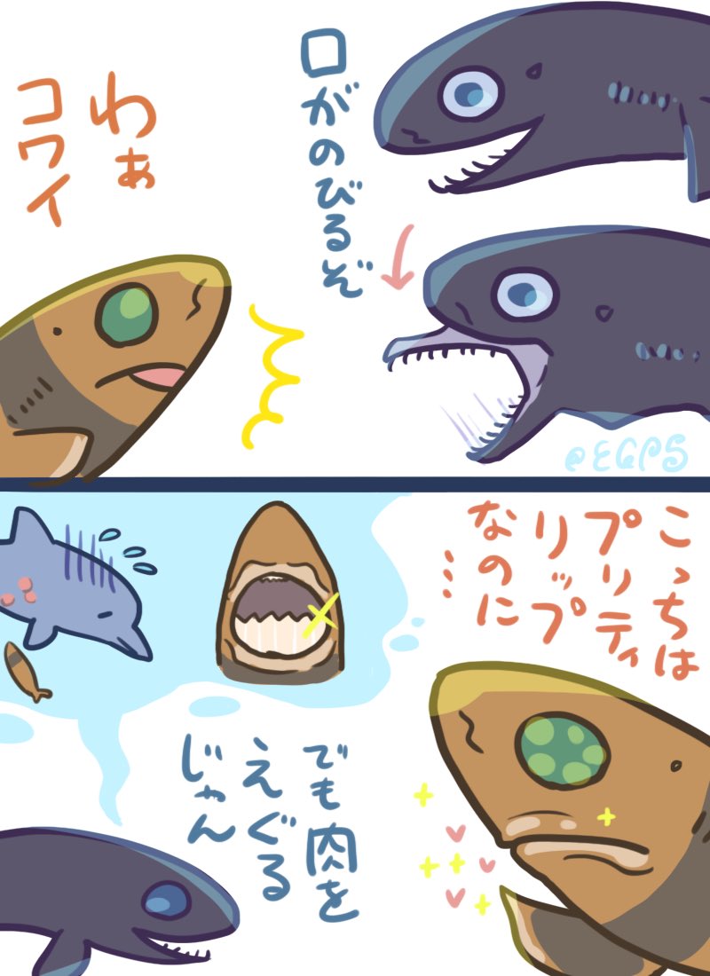 ダルマザメ🦈とワニグチツノザメ🦈