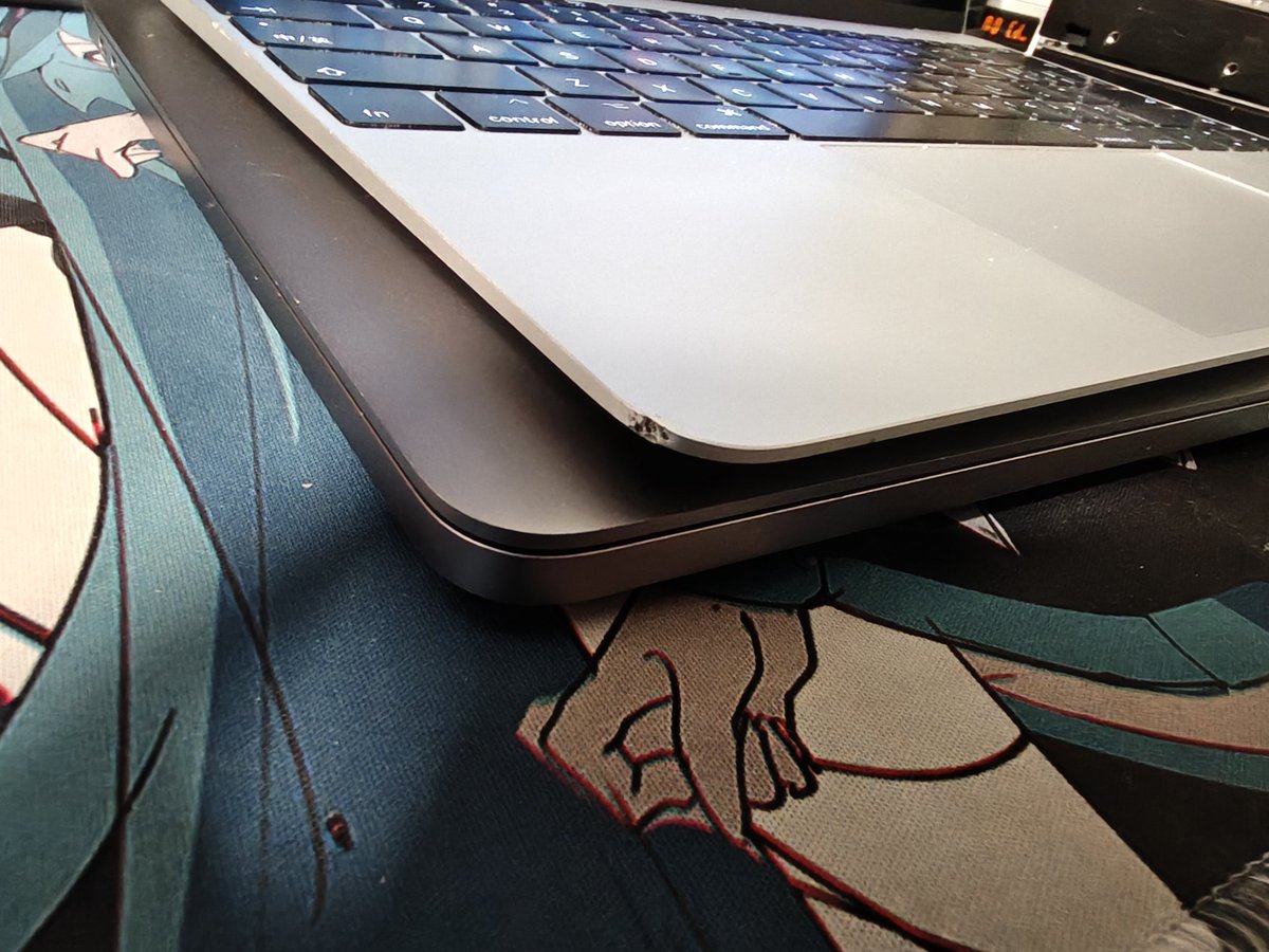 江灵夏草 tweet media