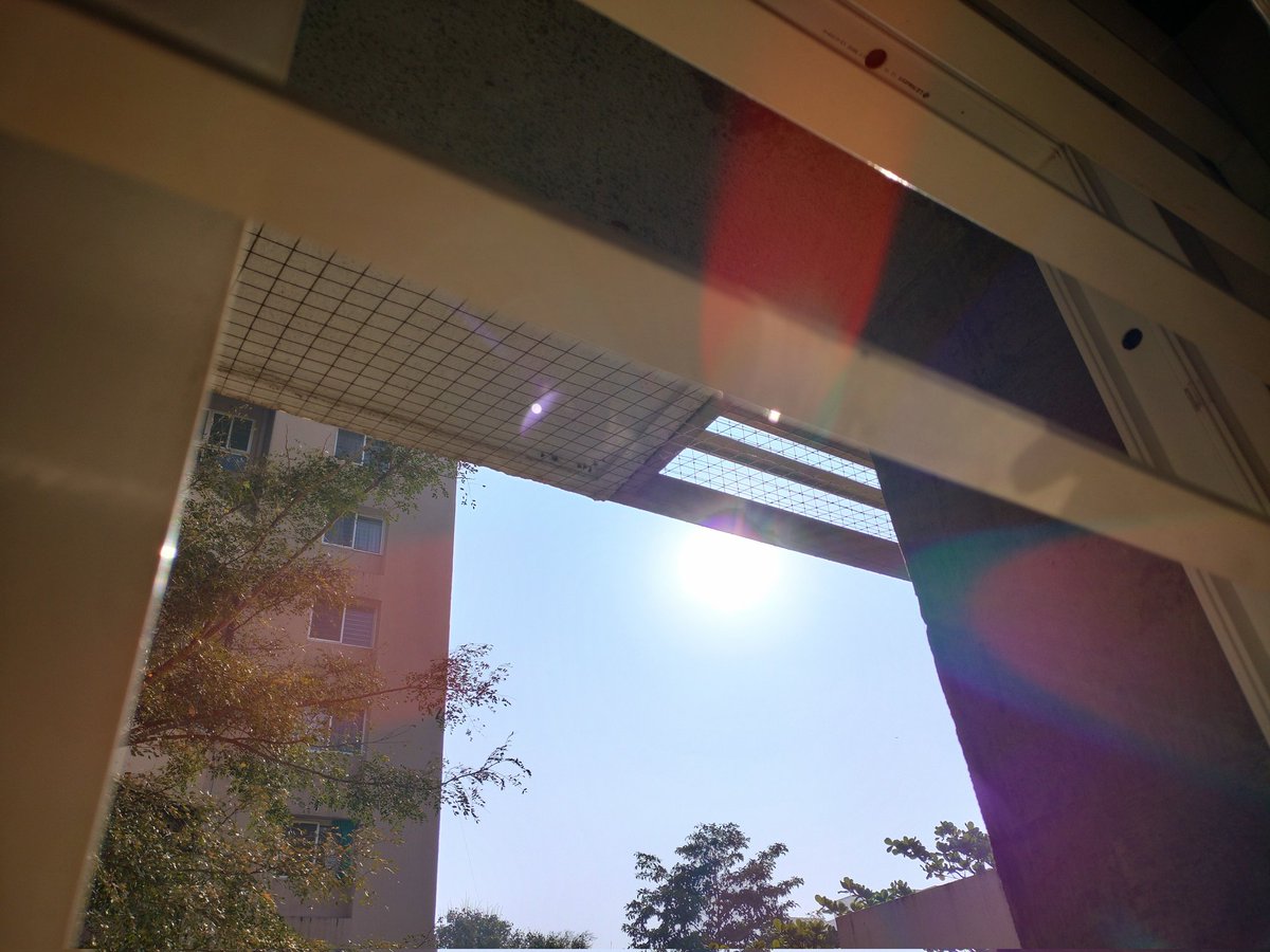 Soak in the colourful sun rays. 
Good morning! 🌞