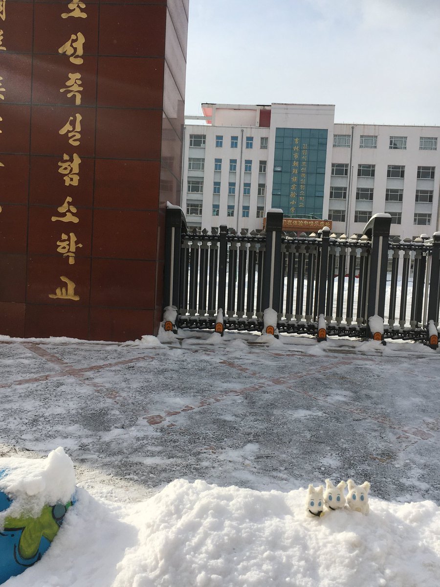 junee_S2's tweet image. 진짜 귀여운 거 보실 분.....
오른쪽 밑에....💛