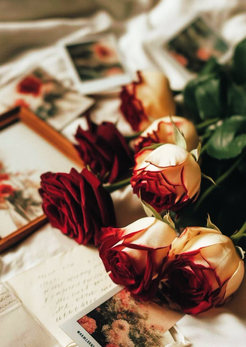 اللَّهُمَّ مَا أَصْبَحَ بِي مِنْ نِعْمَةٍ أَوْ بِأَحَدٍ مِنْ خَلْقِكَ فَمِنْكَ وَحْدَكَ لاَ شَرِيكَ لَكَ، فَلَكَ الْحَمْدُ وَلَكَ الشُّكْرُ🌼✨
 #رسالة_اليوم #صباح_الاجواء_الحلوه