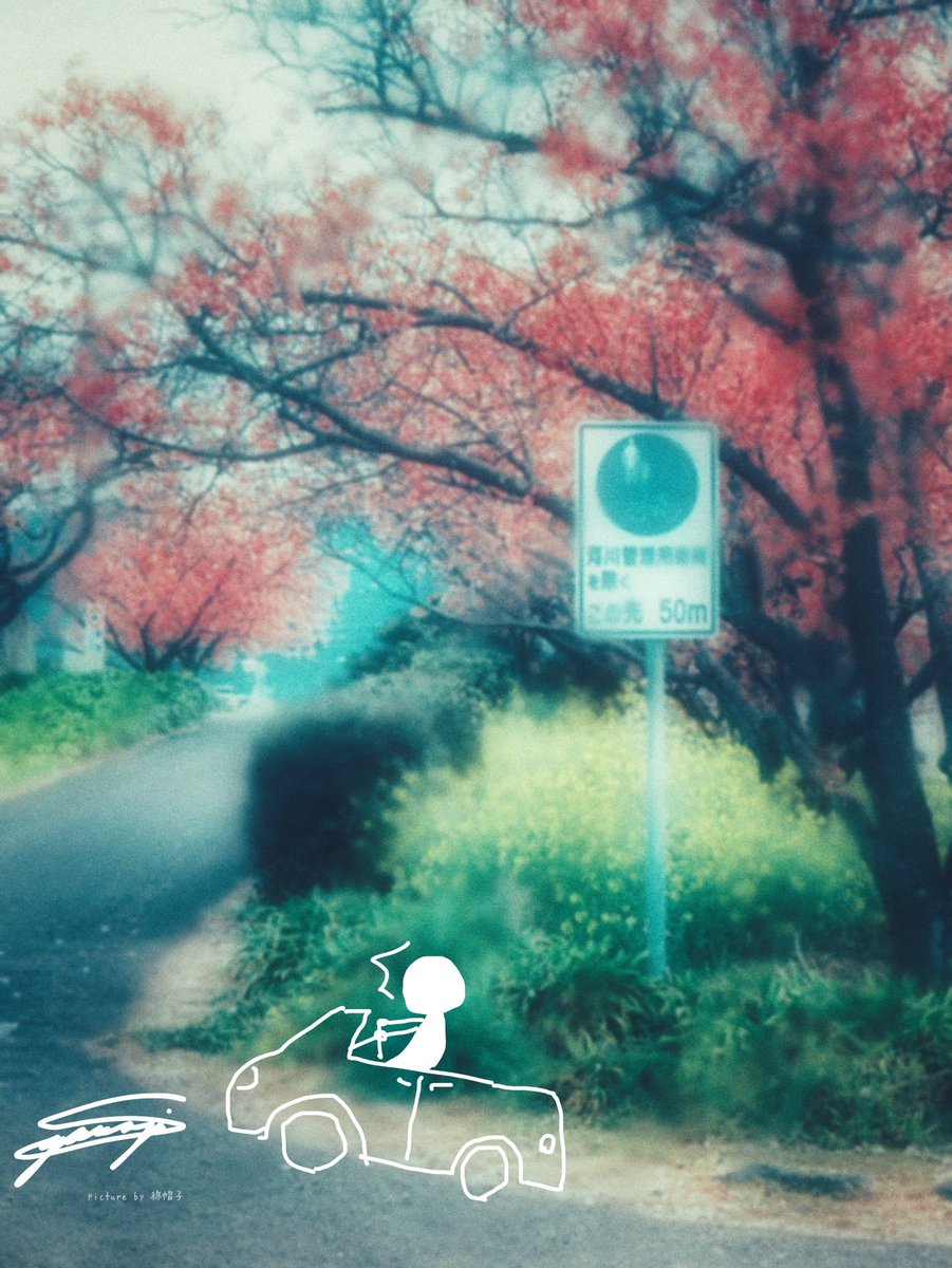 ここくるま禁止なの！？

 #綿帽子のキリトリ世界