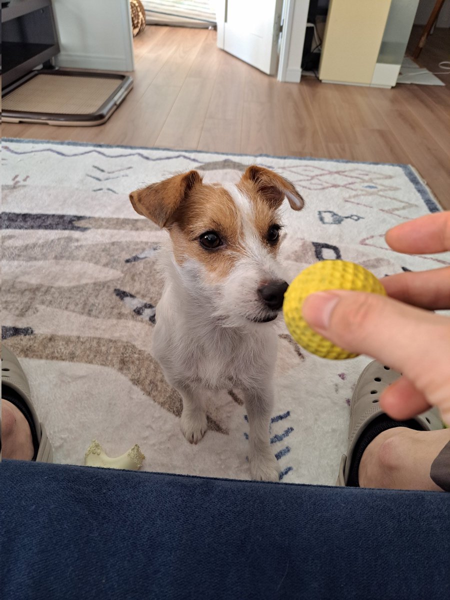 かずぽん かずぽん (@kazup_ai) / Posts / X