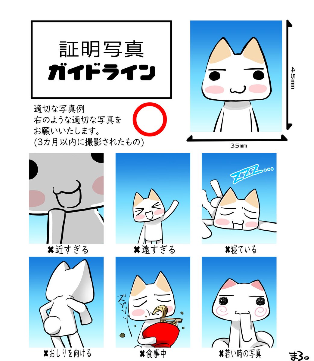 📸⚡️ #どこでもいっしょ #トロ #こトロ