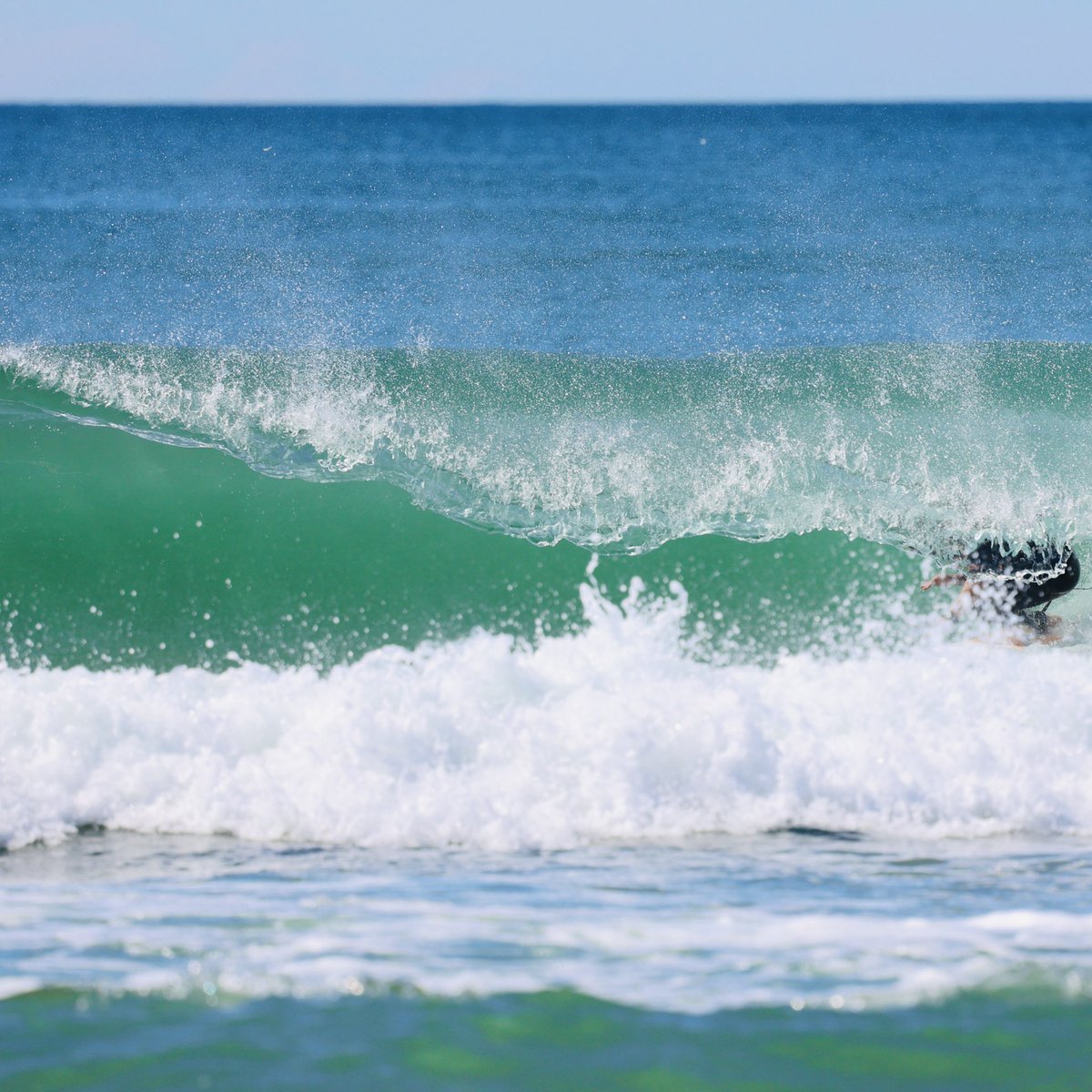 Sally Fitzgibbons tweet media