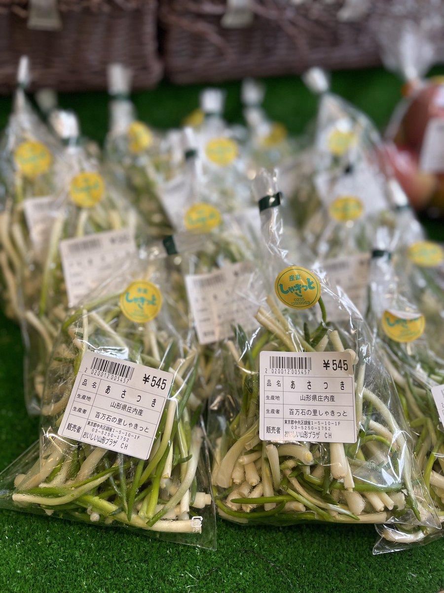 山形県庄内産のアサツキが入荷しました！ シャキッとした食感と、辛み