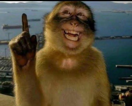 chris ✗𝟶 tweet media