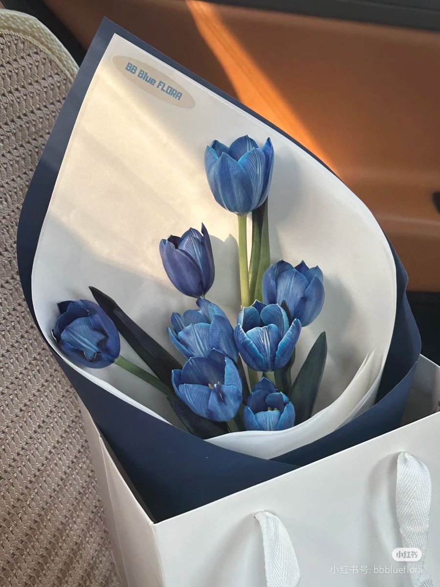 i3Moment's tweet image. Blue Tulips 🌷
