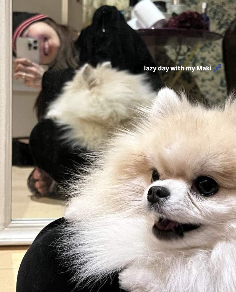 fremiour's tweet image. 