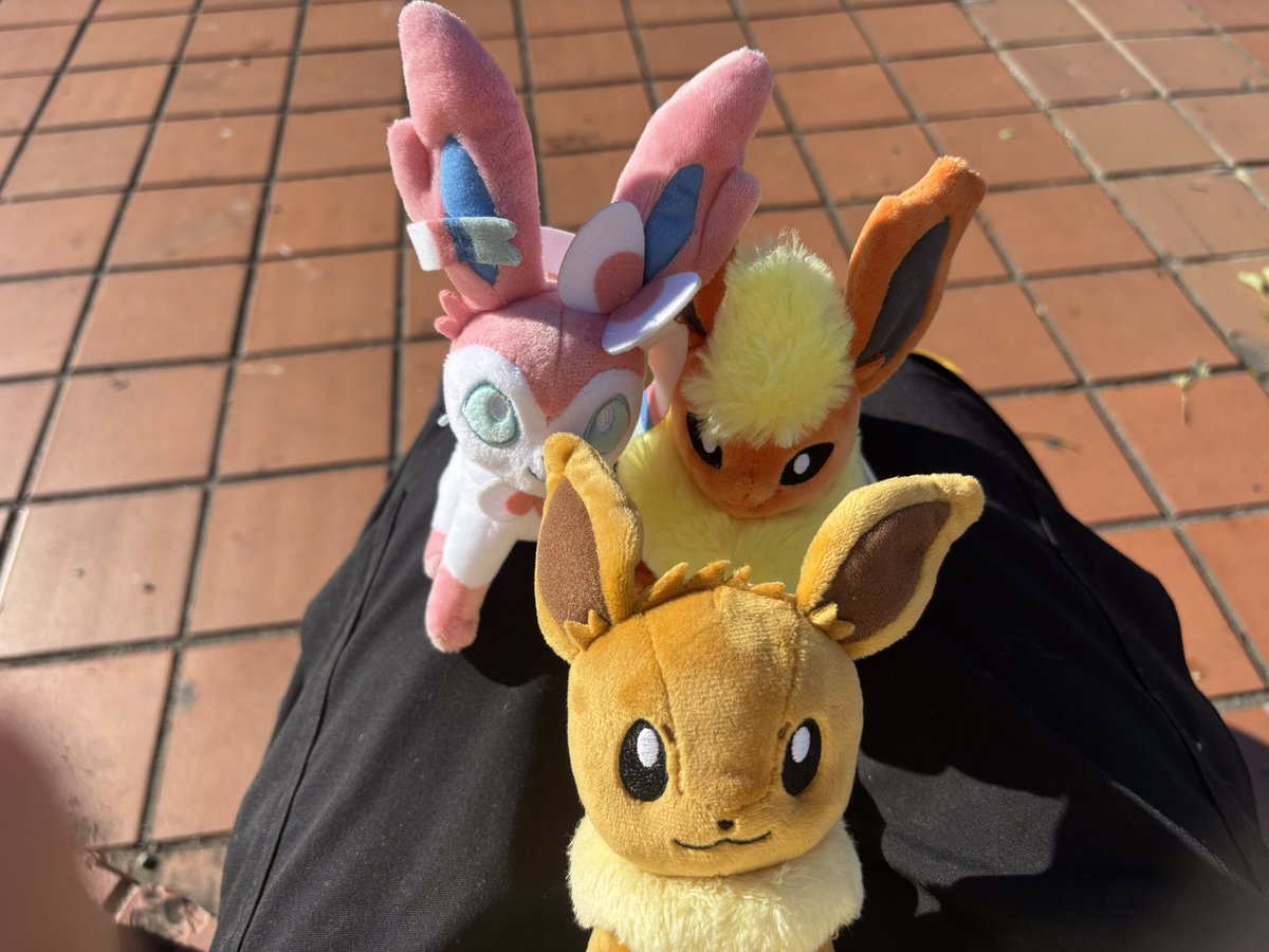 ちび猫※プロフ全文必読※2511W3 ニャンニャンにゃんそろじー』（有川 浩,町田 康,真梨 幸子,小松