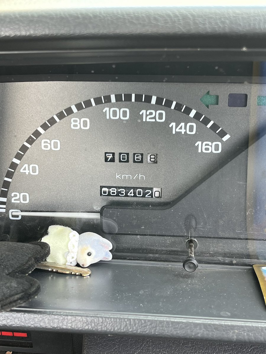 ととのい tweet media