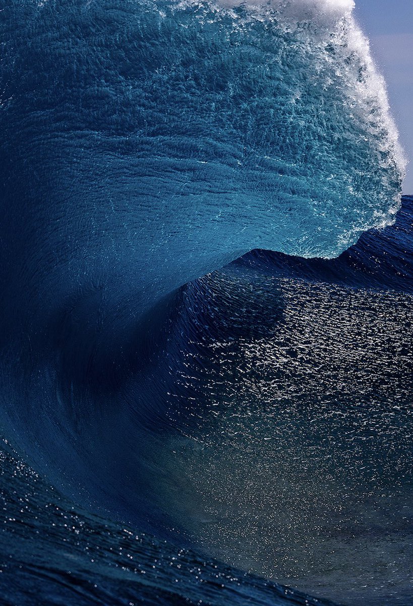 Andrew Semark tweet media