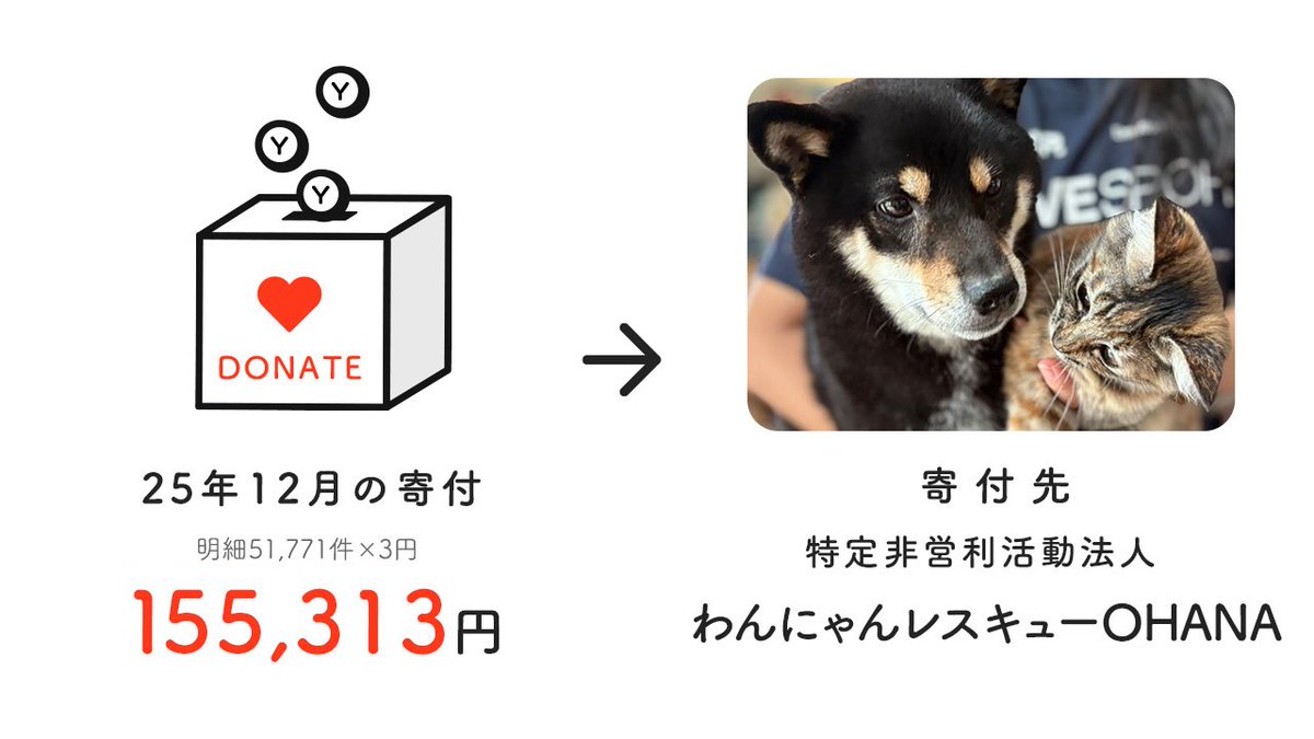 ／
動物団体へ寄付しました🔔
＼

【2025年12月】
📋明細数：51,771件
💰寄付額：155,313円
🏢寄付先：わんにゃんレスキューOHANA
<a href="/kamisu_ohana/">NPO法人わんにゃんレスキューOHANA</a> 
 
アニポスはアニマル・ドネーション 
<a href="/anidone/">公益社団法人アニマル・ドネーション</a>
 を通じて動物団体へ寄付しました。

anipos.co.jp/donation/20251…