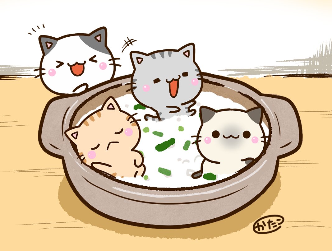 1月7日📆
七草粥🥬
お腹にやさしく…🐱
#猫のいる暮らし