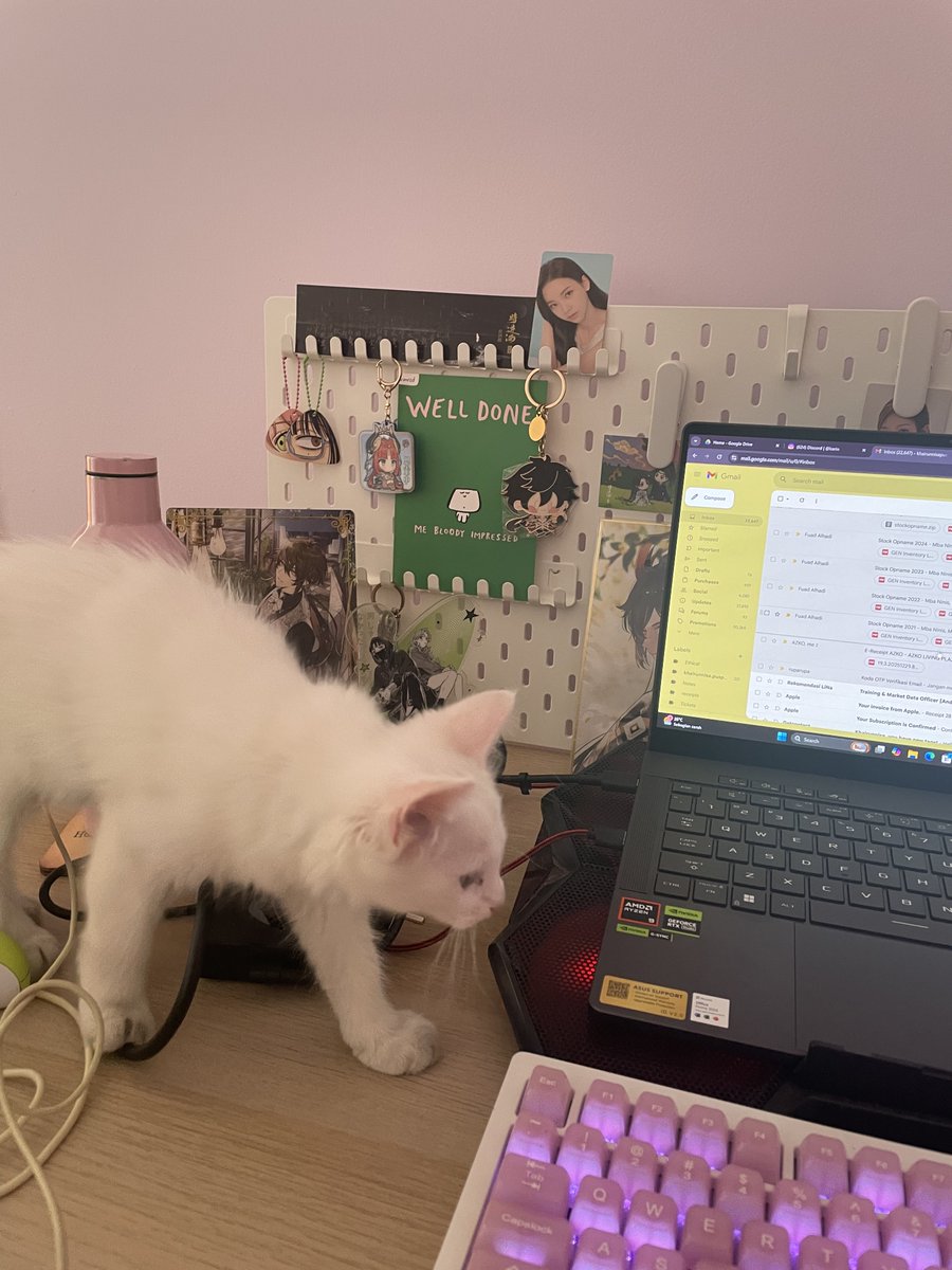 New desk setup+aksesori kucing manja lol yg krg tinggal pekerjaannya aja ini hire me plsss 😭