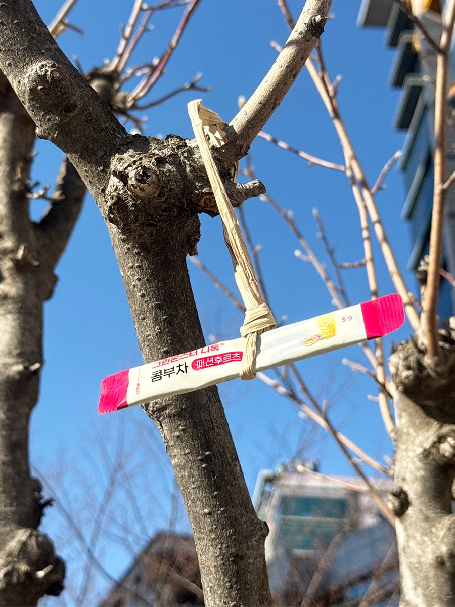 gm_official_kr's tweet image. #이벤트 #EVENT

신년맞이 액막이로 트지기는 콤부차를 달았어요 ..
콤부차야 2026년 입터짐 방지를 부탁해 ( ᵕ🙏ᵕ )

#RT + #팔로우 해주신 3분께
원하는 맛의 입터짐 방지 콤부차를 보내드려요💚

당발은 다음 주 월요일 타래로 💌