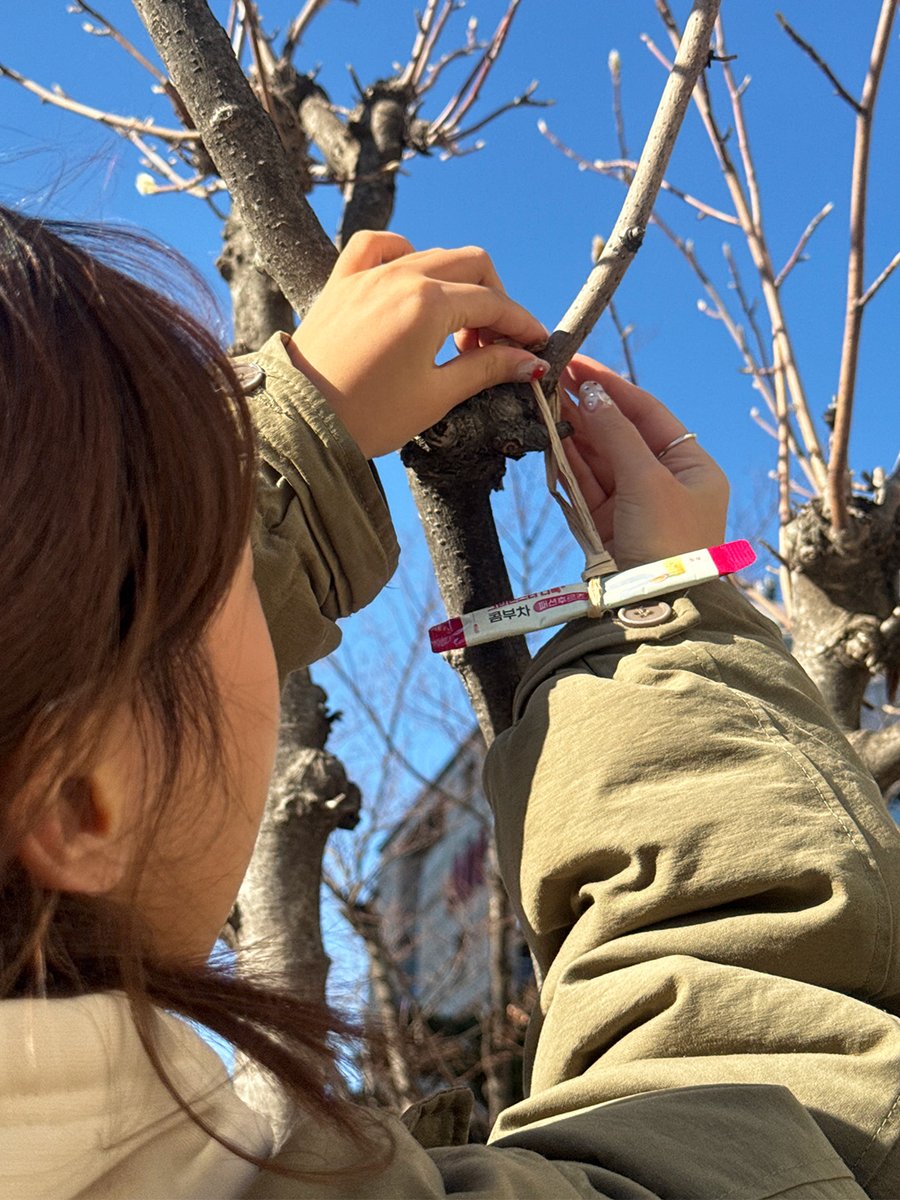 gm_official_kr's tweet image. #이벤트 #EVENT

신년맞이 액막이로 트지기는 콤부차를 달았어요 ..
콤부차야 2026년 입터짐 방지를 부탁해 ( ᵕ🙏ᵕ )

#RT + #팔로우 해주신 3분께
원하는 맛의 입터짐 방지 콤부차를 보내드려요💚

당발은 다음 주 월요일 타래로 💌