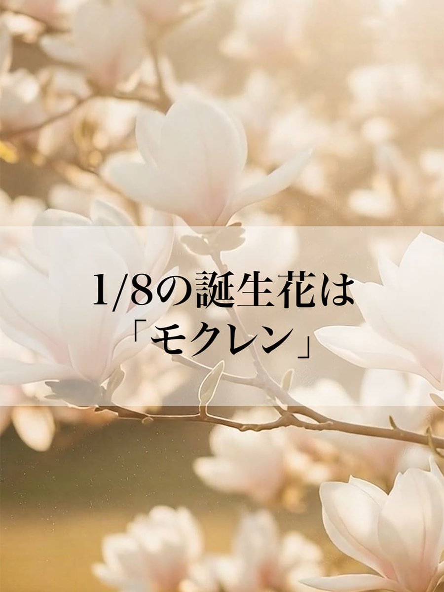 はなしごと🌻 (@hanashigoto87) / Posts / X