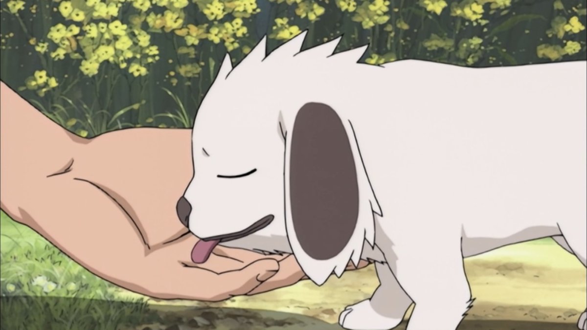 5O264's tweet image. 나루토 전체분량에서 제일보기힘든거: 아카마루 맞는장면
하지말자이씨 따뜻하고귀여운 견 이불속에서 고고마나먹이자