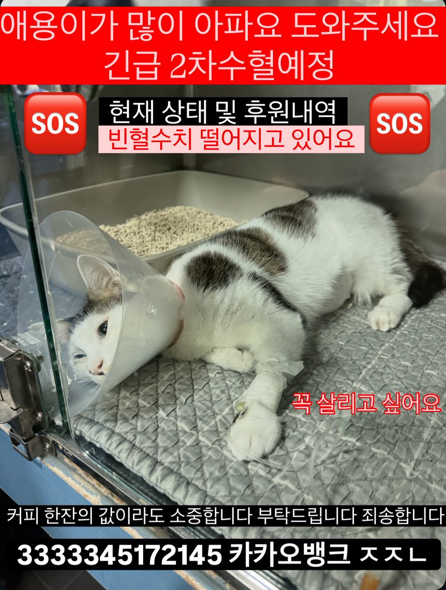 애용이 평생 가족찾기🏠 tweet media