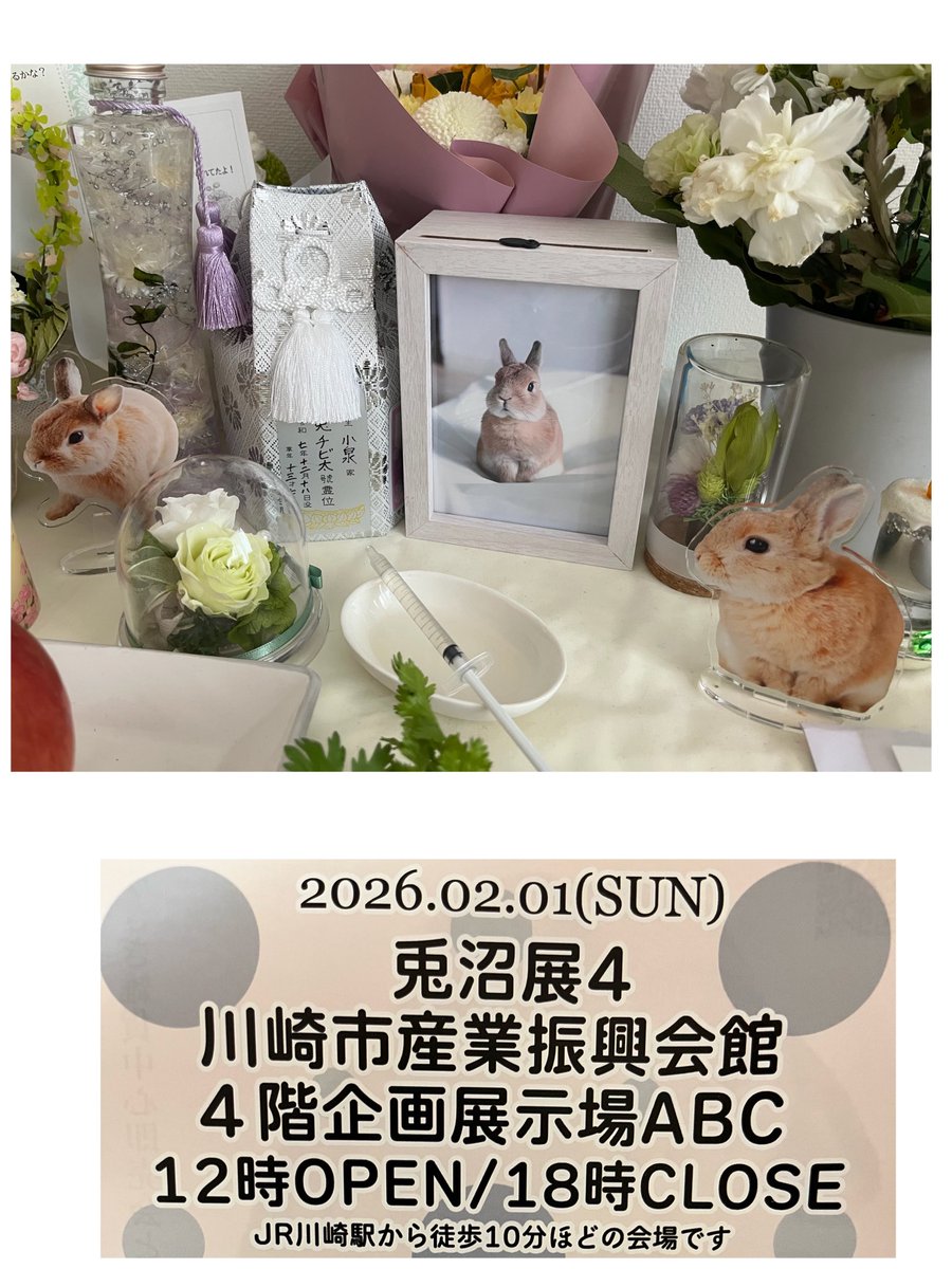 チビ太(CHIBITA🐰)のママ太 (@piccolocibi) / Posts / X