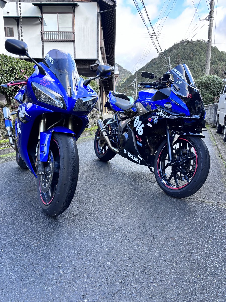 wasp@shark tweet media