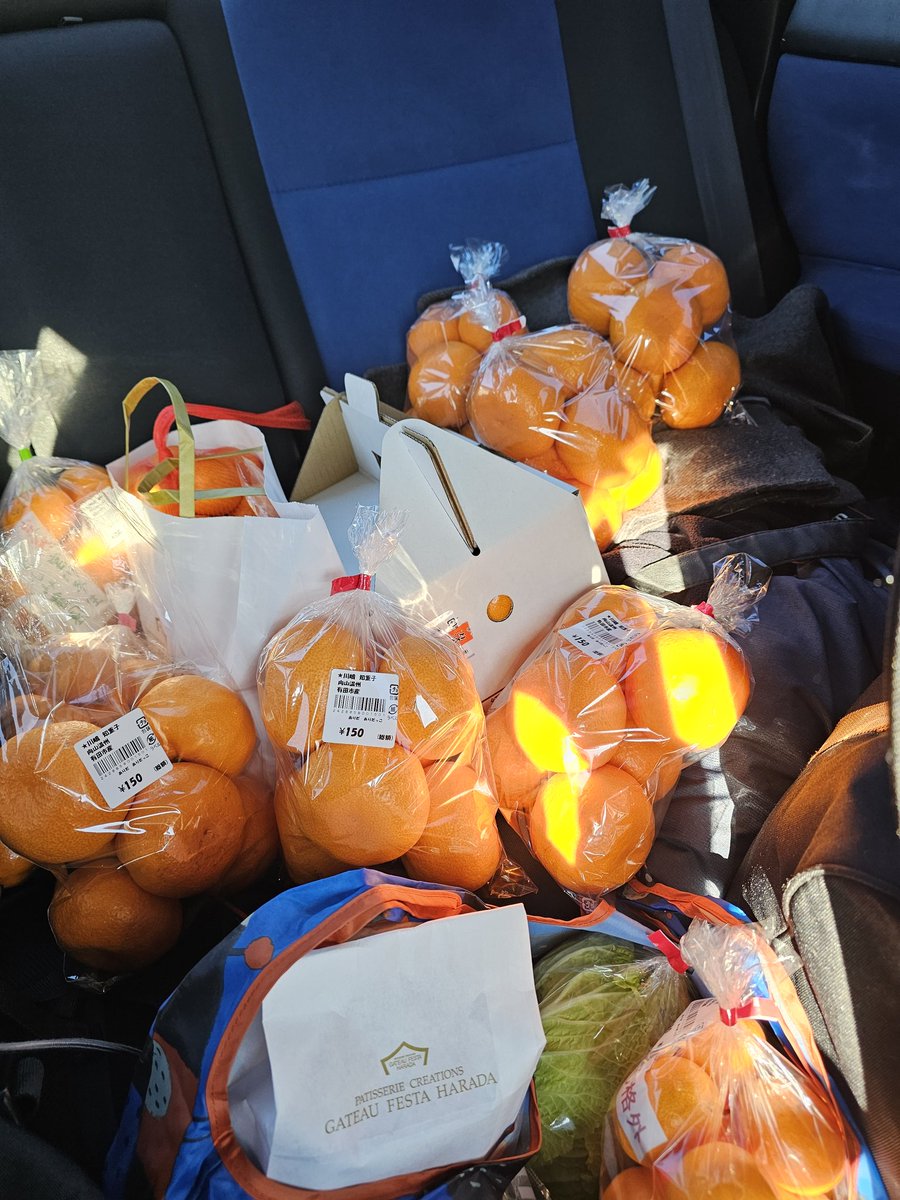 _rokkun_'s tweet image. 後部座席がみかん