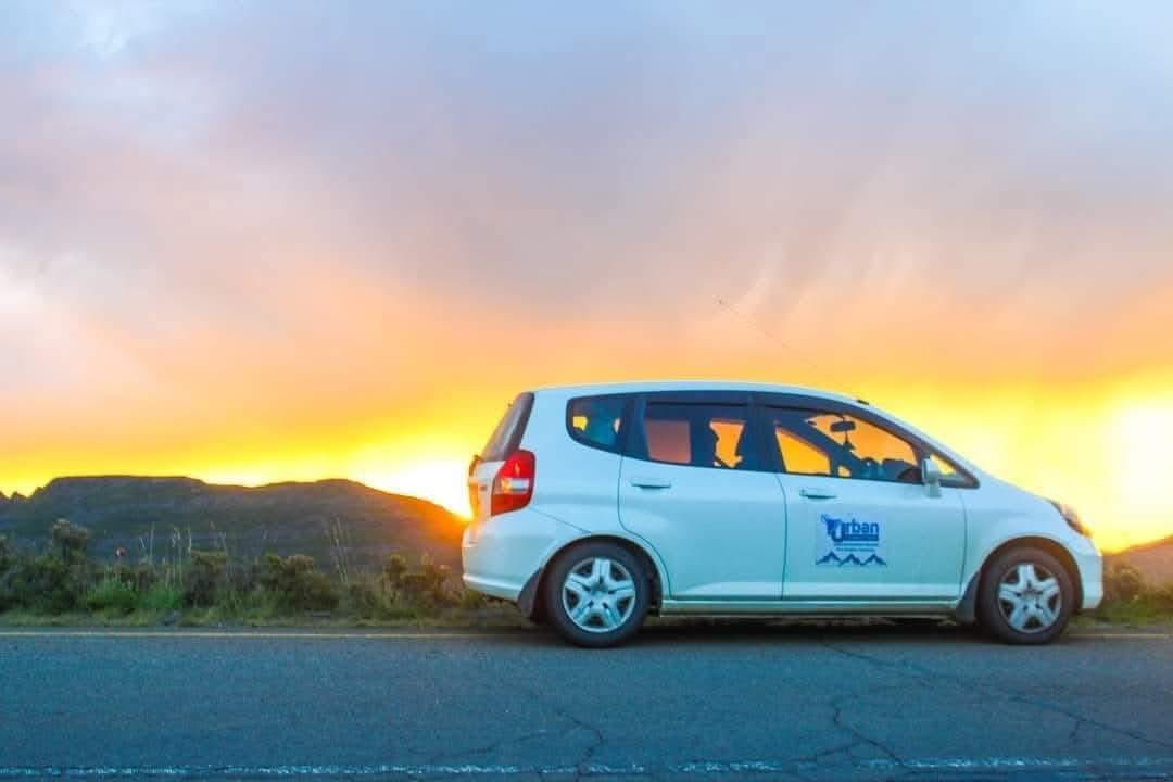 Urban Telephone Taxis & Tours tweet media