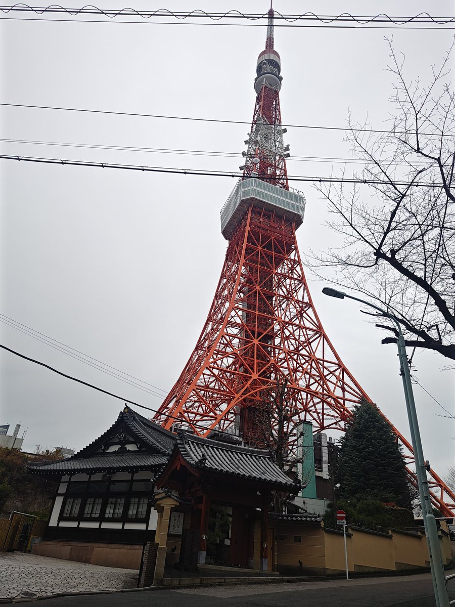 と言う訳で芝公園行ってきたよ。

タワータワー…東京タワーのぼったわー(唄:寒空はだか氏)

え？スカイツリー？うっさいわ。俺の世代は東京タワーなんや😩