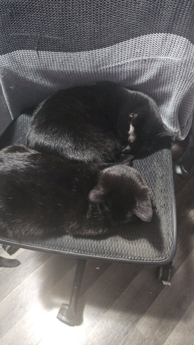 Archie_MH's tweet image. So called free thinkers when I get up from my chair