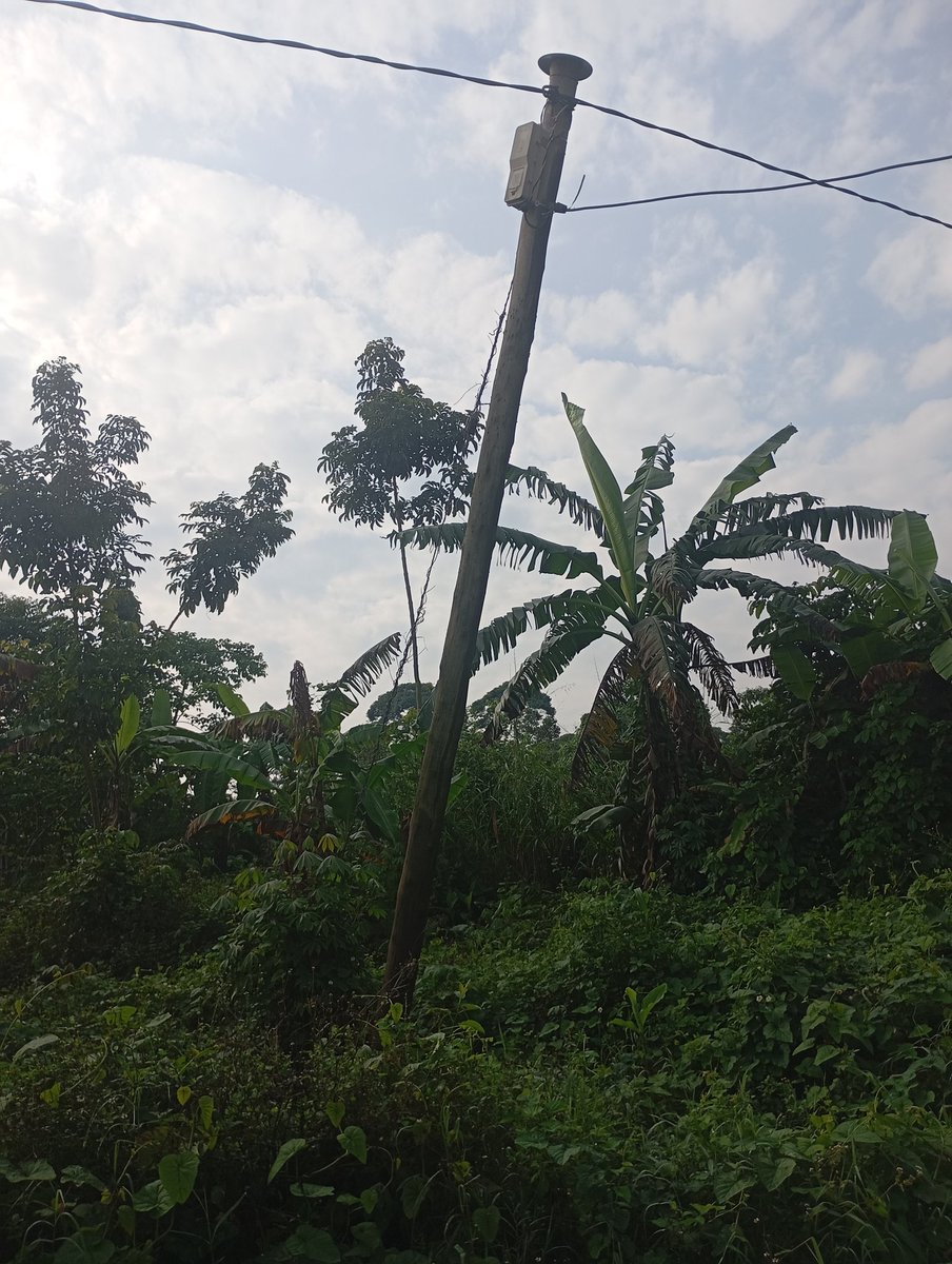 sbwebale's tweet photo. @UEDCLTD our pole in Mukono Kabembe has been eaten by termites and is bent it will fall soon...we kindly request for a new pole...we have reported but we are not getting help https://t.co/bZrF5ZpwhD