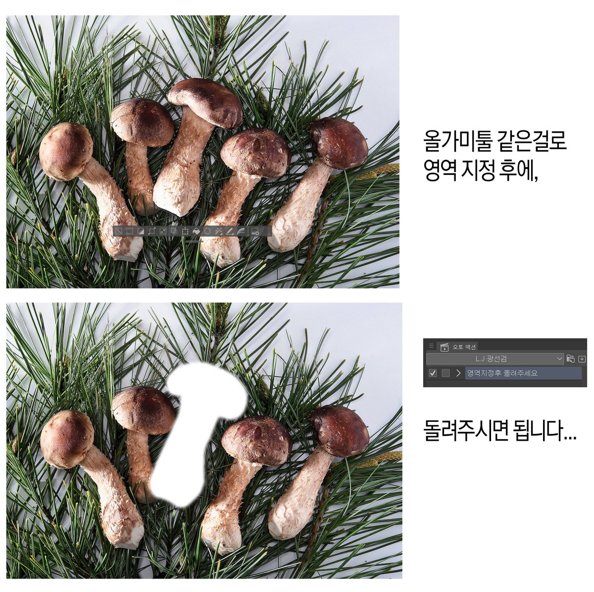 정레나 tweet media