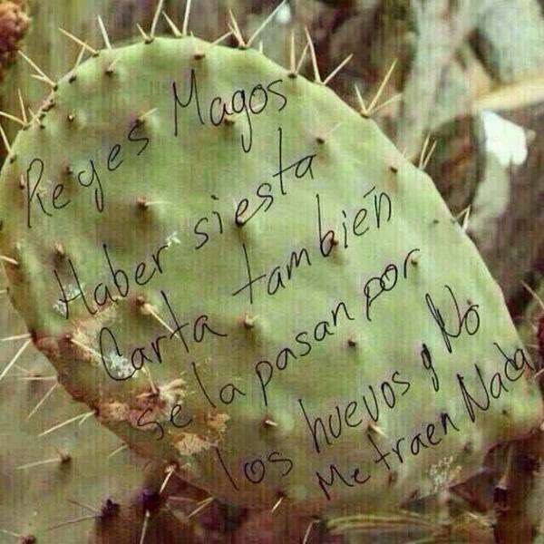 Banco Mexicano de Imágenes tweet media