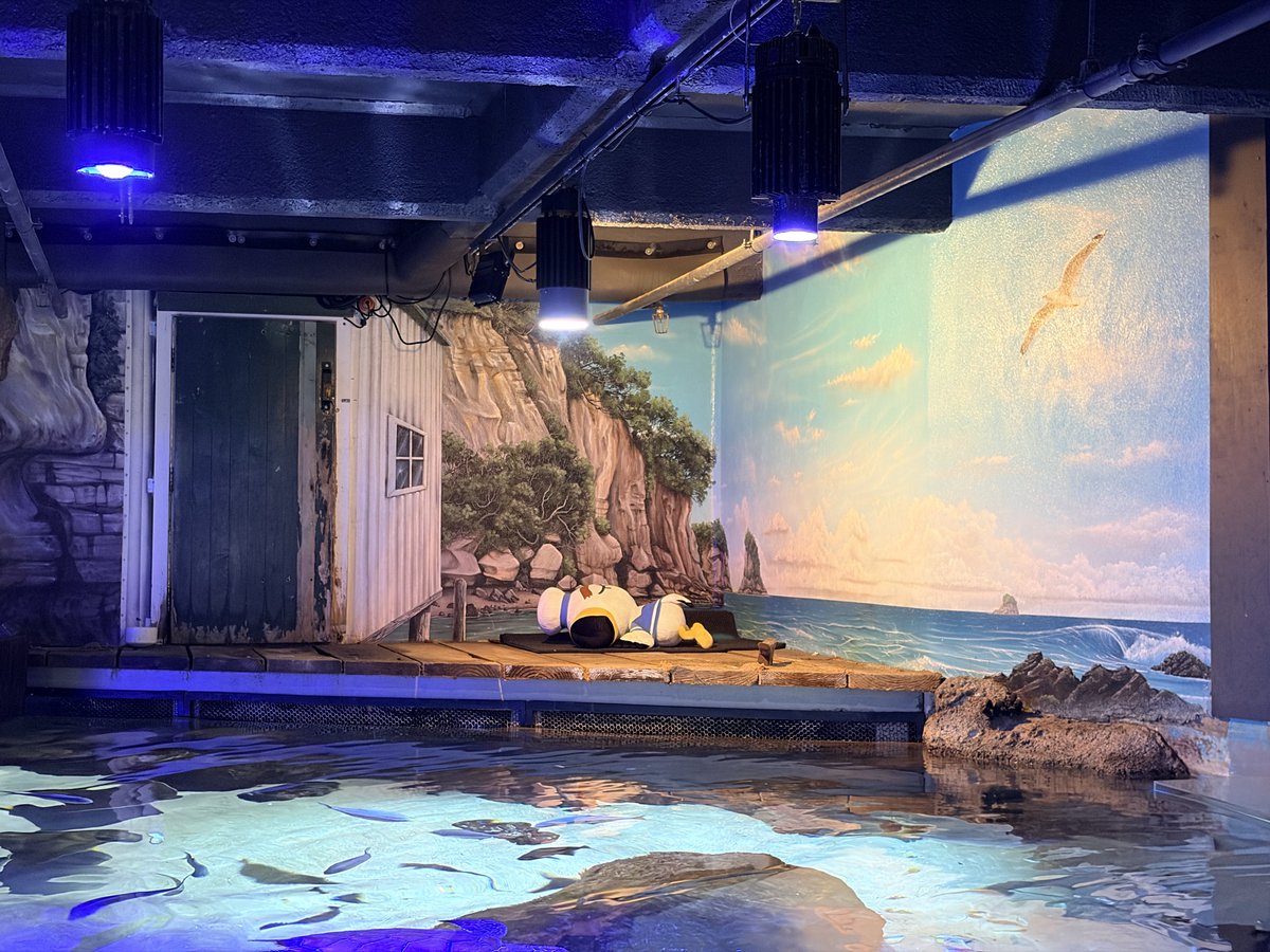 braeburnzz's tweet photo. 海洋馆+animal crossing特别活动 https://t.co/JFXVYIj0x3