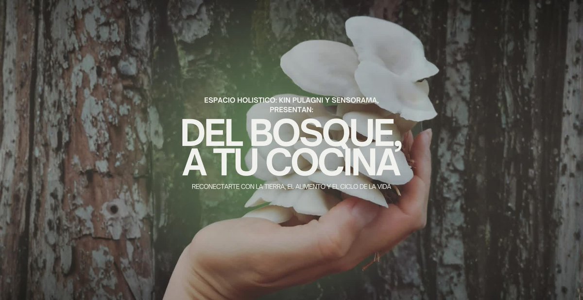 Reconectar  con la tierra, el alimento y el ciclo de vida 
✨🌱🌳🍄⏲️✨

Experiencia de ensoñación sensorial: 
Del bosque a tu cocina  

🔗 Reserva tu lugar: 
wa.link/urvgtq

ℹ️ Más información en:
cutt.ly/DtaEyQ3d

Sueño, luego existo 
✨ 😎💭✨