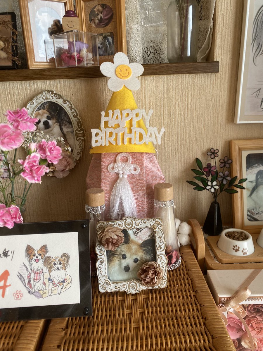 Post by 水野🌱 on X: ええんかこれ